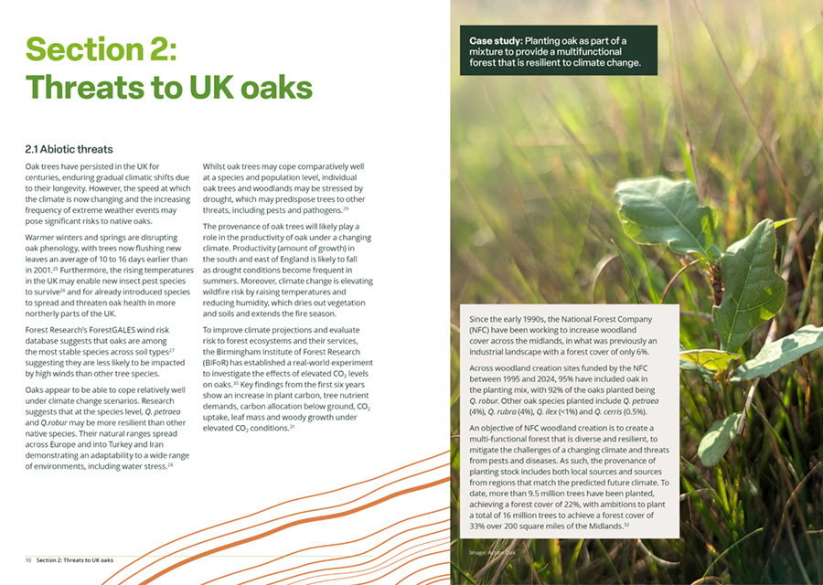 Image showing a two page spread of the Action Oak report
